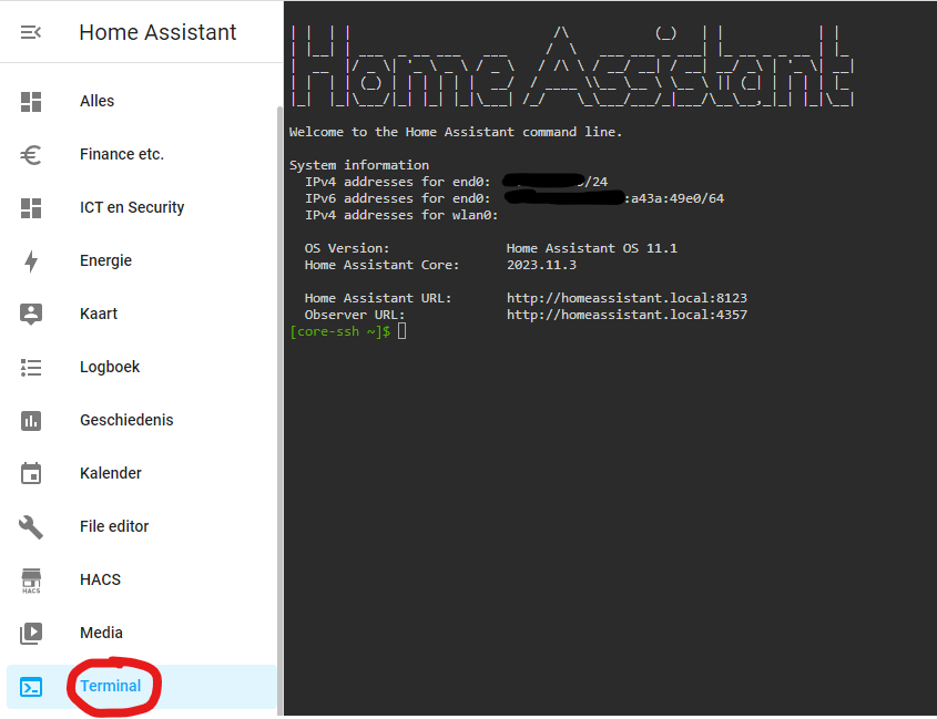 Home Assistant Terminal en SSH